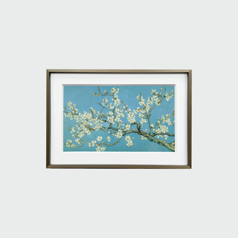正面展示的《杏花盛開》裝裱畫作,簡約相框內襯白色卡紙,畫面清晰呈現杏花與藍天,杏花枝條橫向伸展,白花與藍色天空相互映襯。