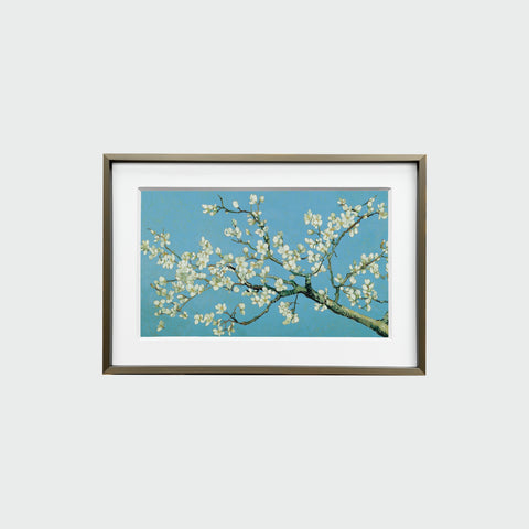 銅金色細框裱框的《杏花盛開》,枝條舒展於藍天背景,白花綻放清新亮麗。