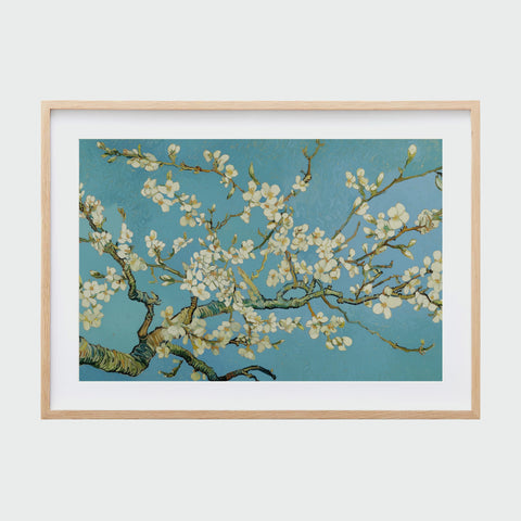 《杏花盛開》裱框作品,枝幹自左下角伸展,滿枝白花映襯藍天。