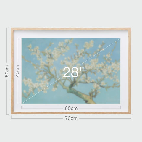 《杏花盛開》掛畫尺寸示意,畫芯28吋,寬70公分,高50公分。