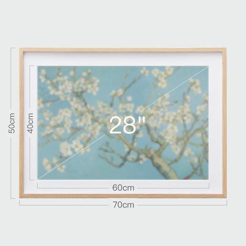 《杏花盛開》掛畫尺寸示意,畫芯28吋,外框後70x50公分。