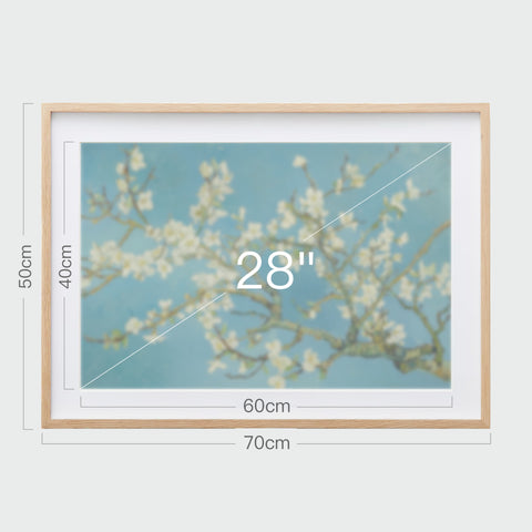 《杏花盛開》掛畫尺寸示意,畫芯28吋,裱框後寬70公分,高50公分。