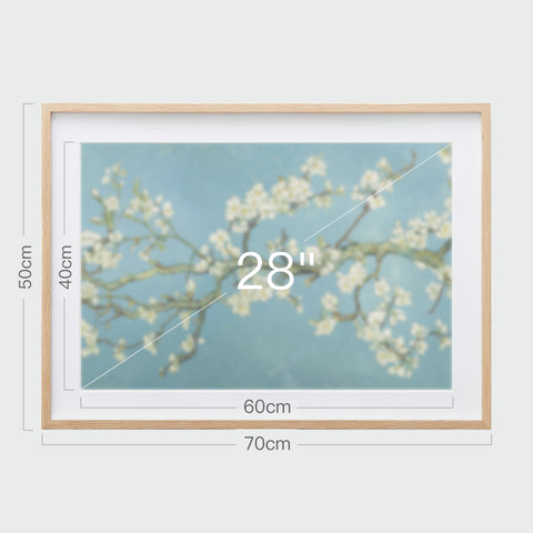 《杏花盛開》掛畫尺寸示意,畫芯28吋,裱框後寬70公分,高50公分。