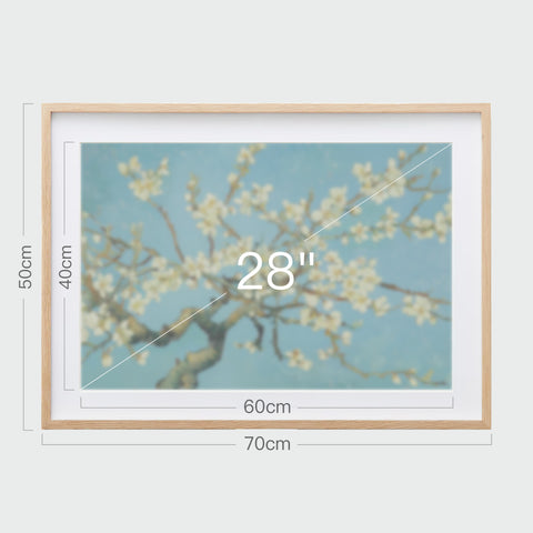 《杏花盛開》掛畫尺寸示意,畫芯28吋,裱框後寬70公分,高50公分。