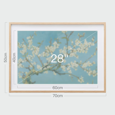 掛畫《杏花盛開》尺寸示意,畫芯28吋,裱框總寬70公分,高50公分。