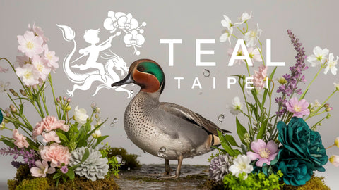 TEAL顏色的字源：一隻歐亞水鴨立於淺水間，灰褐羽毛細緻斑點，綠褐頭冠閃耀，周圍繁花與苔蘚環繞，水珠飛濺增添自然動態感。