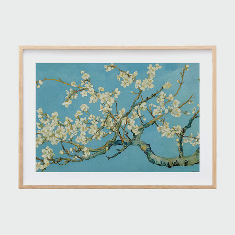 梵谷杏花盛開 60x40cm + 50x70cm