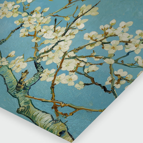 畫作細節特寫，白色杏花層疊綻放，枝幹厚重筆觸展現自然生命力。