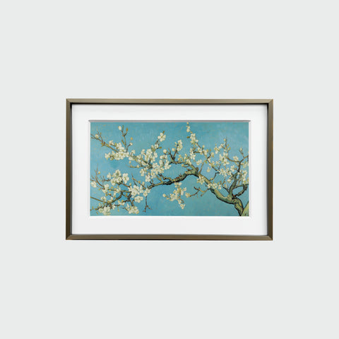 正面展示的《杏花盛開》裝裱畫作，簡約相框內襯白色卡紙，畫面清晰呈現杏花與藍天。