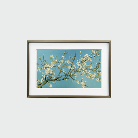 正面展示的《杏花盛開》裝裱畫作，簡約相框內襯白色卡紙，畫面清晰呈現杏花與藍天。