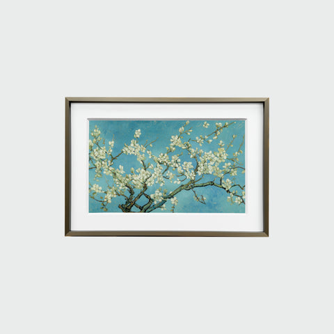 正面展示的《杏花盛開》裝裱畫作，簡約相框內襯白色卡紙，畫面清晰呈現杏花與藍天，杏花枝條橫向伸展，白花與藍色天空相互映襯。