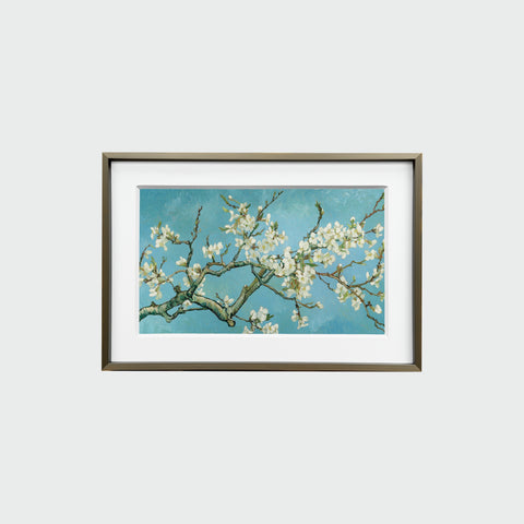 正面展示的《杏花盛開》裝裱畫作，簡約相框內襯白色卡紙，畫面清晰呈現杏花與藍天，杏花枝條橫向伸展，白花與藍色天空相互映襯。