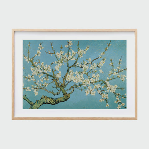 淺木色框裱框的《杏花盛開》，枝幹延展，繁花綻放於湛藍天空。