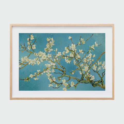 淺木色框裱框的《杏花盛開》，枝條橫向舒展，繁花滿布於藍天之下。