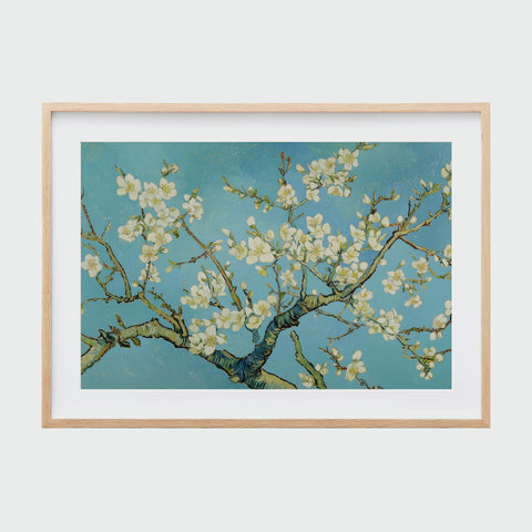 淺木色細框裱框的《杏花盛開》，粗壯枝幹由左下向上弧形延展，白花簇簇綻放於湛藍天空前。