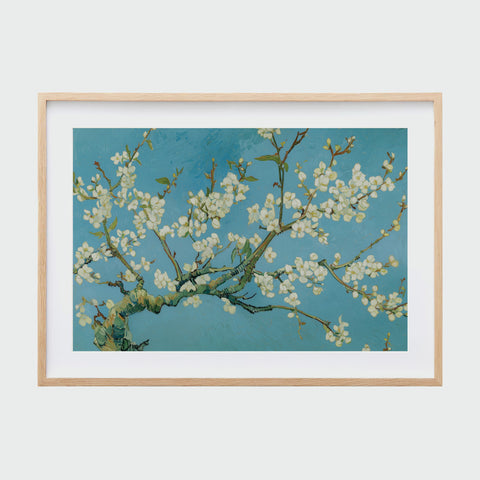 淡色木紋裱框的《杏花盛開》，枝條錯落延展，白花映襯藍天，清新典雅。