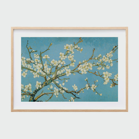 淺木色框裱框的《杏花盛開》，枝條橫向舒展，藍天映襯花瓣純白。