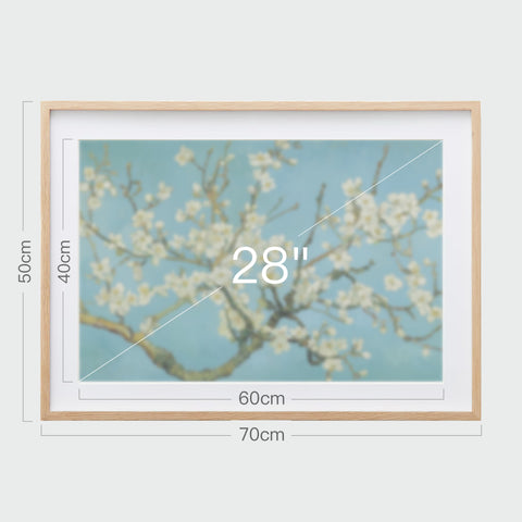 《杏花盛開》掛畫尺寸示意，畫芯28吋，裱框後寬70公分，高50公分。