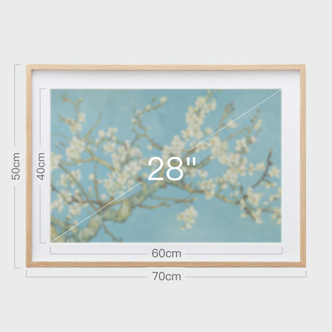《杏花盛開》掛畫尺寸示意，畫芯28吋，整體含框寬70公分，高50公分。